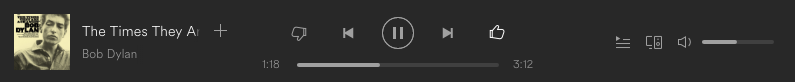 Figure 52: Spotify on OSX; validation of radio query with thumbs up and down buttons