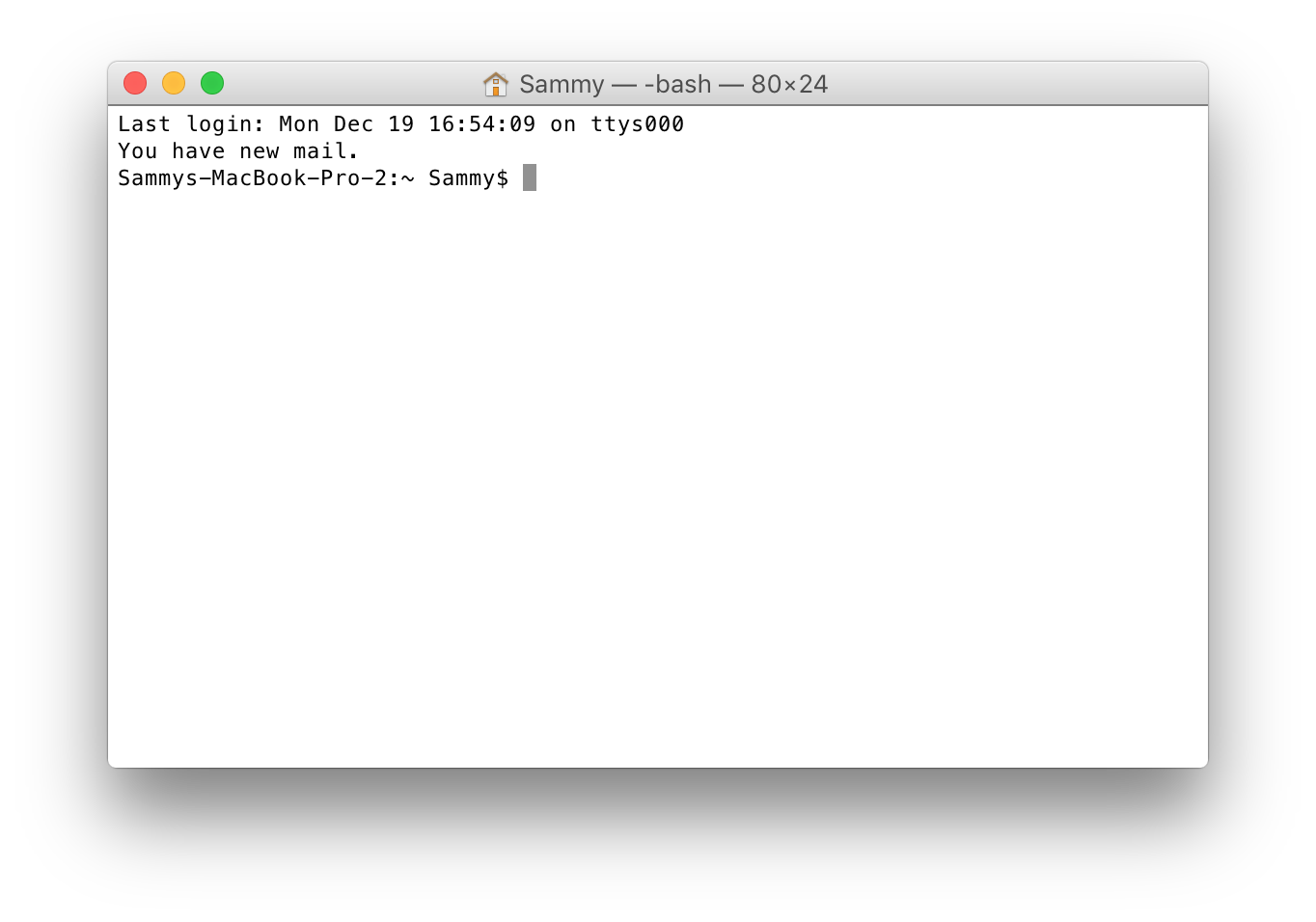 Figure 3: Command Line Interface on a Mac. Screenshot of Apple‘s Terminal App, the way to interact with your Mac on a text basis.